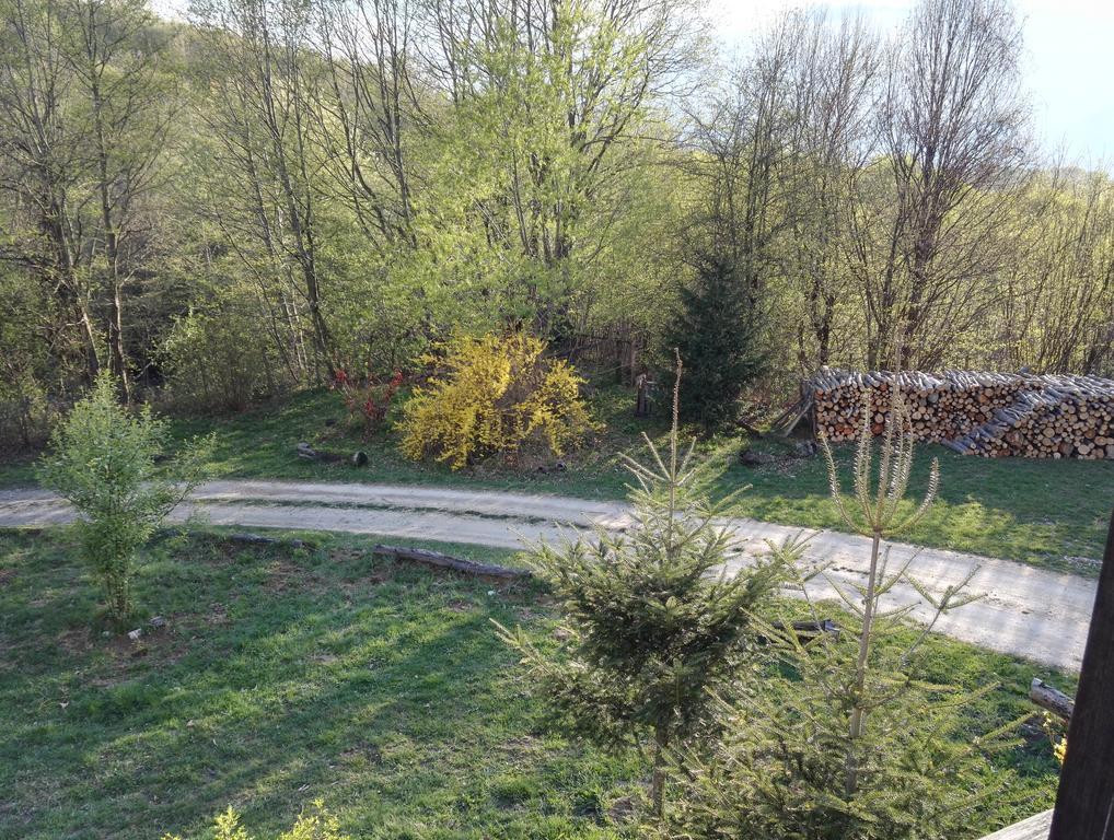 Hotel Cabana La Noi Rîşnov Exteriér fotografie