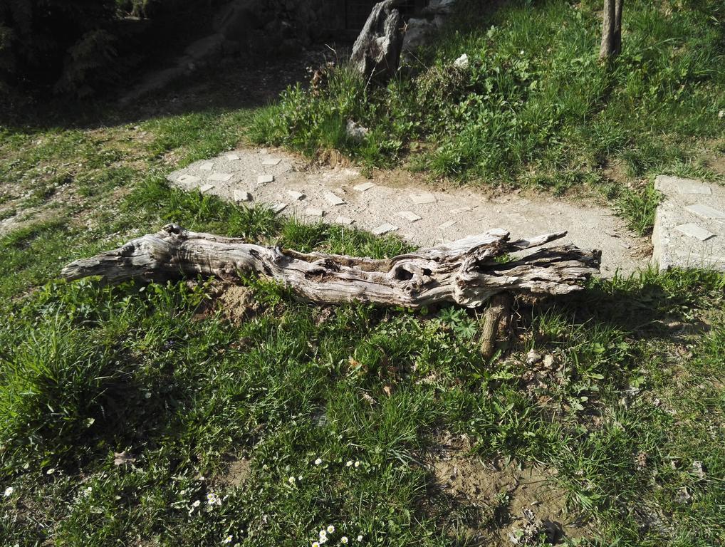 Hotel Cabana La Noi Rîşnov Exteriér fotografie