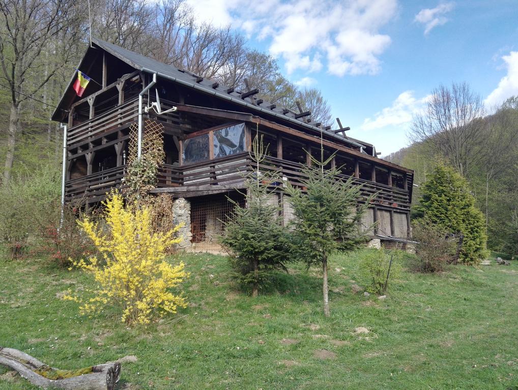 Hotel Cabana La Noi Rîşnov Exteriér fotografie